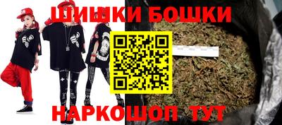 СК Бийск