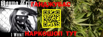СК Бийск