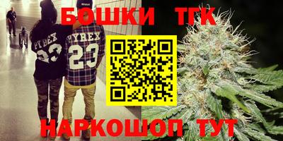 СК Бийск