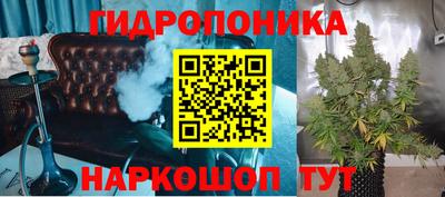 СК Бийск