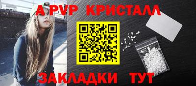 СК Бийск