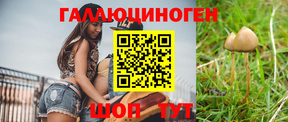 Губкинский  Галлюциногенные грибы Psilocybine cubensis  Вход с VPN 